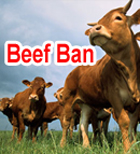 Beef Ban: What Are The Cows Really Getting Out Of It?